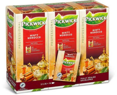PW Minty Morocco BOX