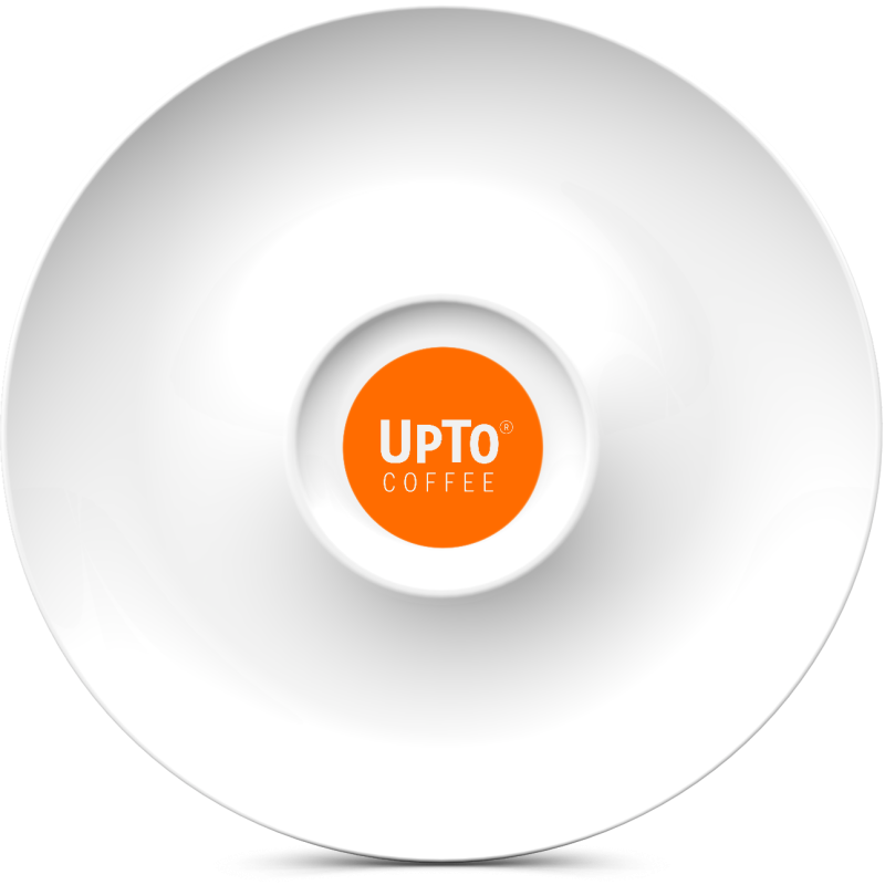 Schotel Groot oranje